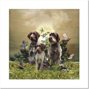 German Wirehaired Pointer ,  Hunting season Posters and Art